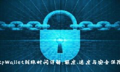 tpWallet到账时间详解：额度