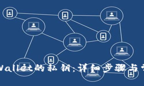 如何导入tpWallet的私钥：详细步骤与常见问题解答