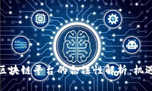 : 当前区块链平台的合法性解析：机遇与挑战